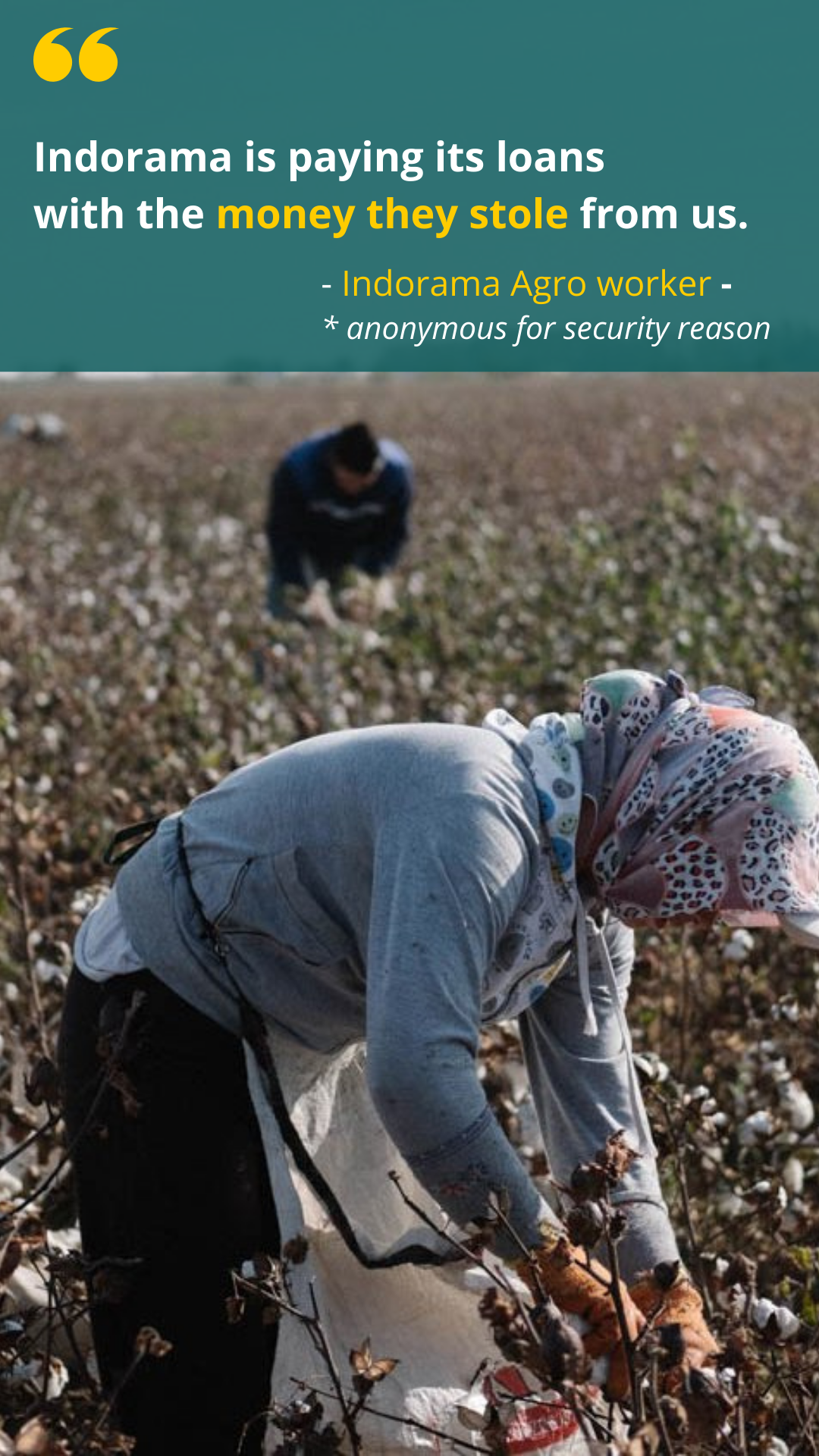 Indorama Agro: accountability for displaced cotton workers